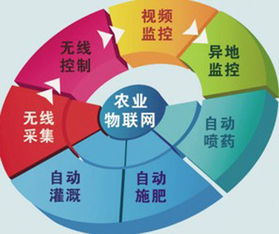 農(nóng)村物聯(lián)網(wǎng)綜合信息服務(wù)項(xiàng)目網(wǎng)絡(luò)技術(shù)服務(wù)收尾工作全面展開